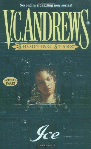 Ice book cover
