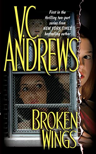 Broken Wings book cover