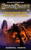 Shadow of the Xel'Naga