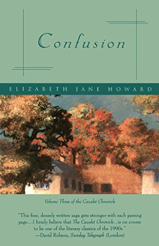 Confusion book cover