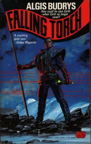 Falling Torch book cover