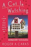 A Cat Is Watching