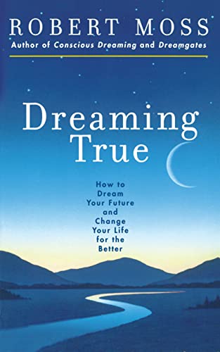 Dreaming True book cover