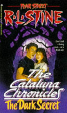 The Dark Secret book cover