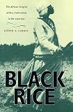 Black Rice The African Origins Of Rice Cultivation In The Americas