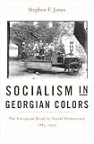 Socialism In Georgian Colors The European Road To Social Democracy 18831917