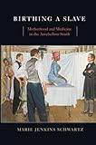 Birthing A Slave Motherhood And Medicine In The Antebellum South