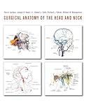 Surgical Anatomy Of The Head And Neck