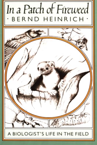 In a Patch of Fireweed cover