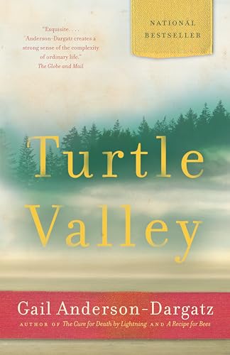 Turtle Valley book cover