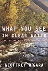 What You See in Clear Water: Life On the Wind River Reservation