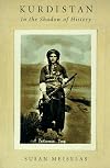 Kurdistan: In the Shadow of History, Second Edition
