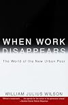 When Work Disappears: The World of the New Urban Poor