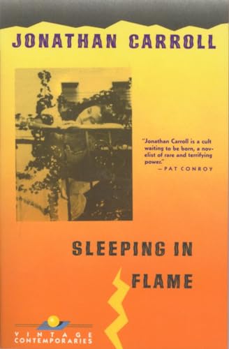 Sleeping in Flame book cover