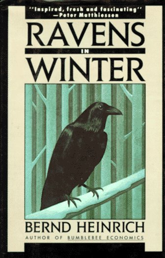 Ravens in Winter book cover