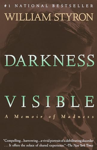 Darkness Visible book cover