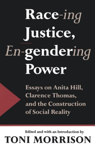 Race-Ing Justice, En-Gendering Power book cover