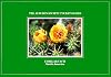 Pocket Guide to Familiar Cacti