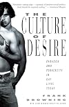 The Culture of Desire: Paradox and Perversity in Gay Lives Today