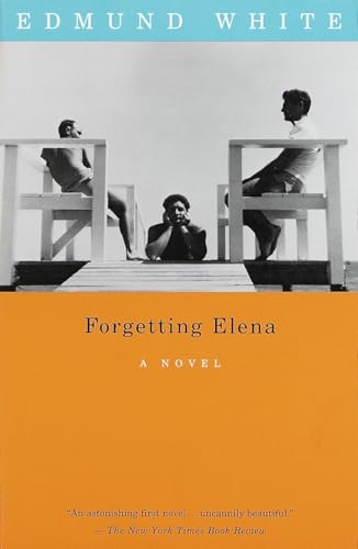 Forgetting Elena book cover