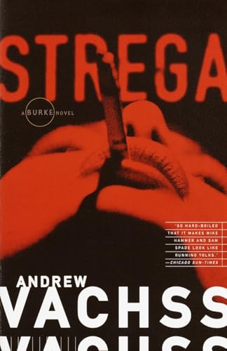 Strega book cover