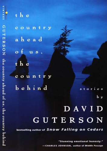 The Country Ahead of Us, the Country Behind book cover