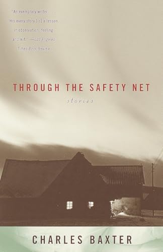 Through the Safety Net book cover