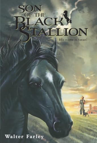 Son of the Black Stallion book cover
