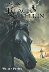 Son of the Black Stallion