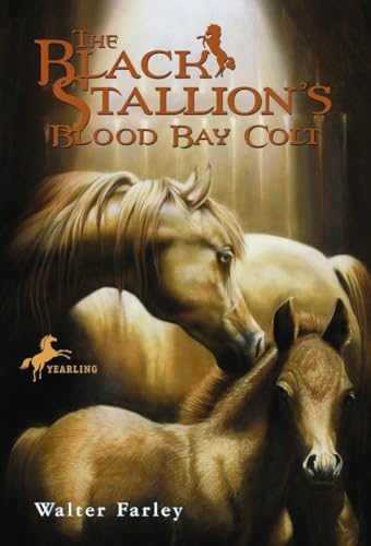 The Black Stallion's Blood Bay Colt book cover