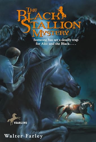 The Black Stallion Mystery book cover
