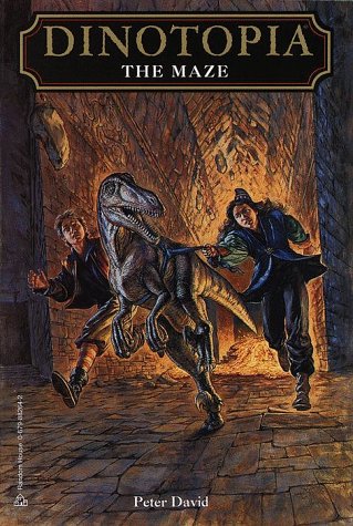 The Maze book cover