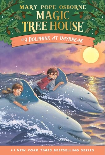 Dolphins at Daybreak book cover