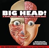 Big Head A Book About Your Brain And Your Head