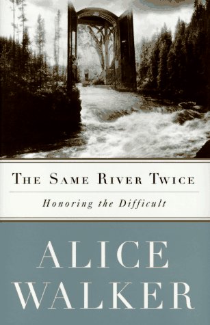 The Same River Twice book cover