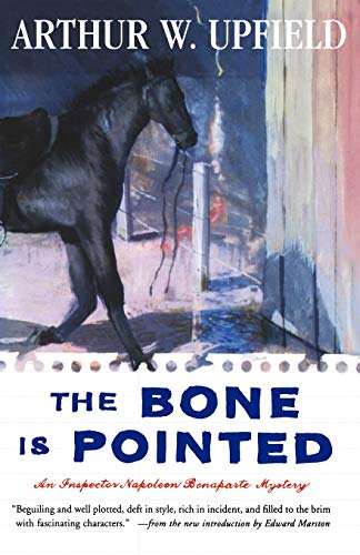 The Bone is Pointed book cover