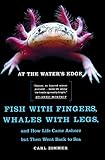 At The Waters Edge Fish With Fingers Whales With Legs And How Life Came Ashore But Then Went Back To Sea
