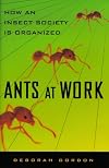 Ants at Work: How an Insect Society is Organized
