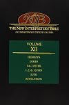 The New Interpreter's Bible, Vol. 12: Hebrews; James; 1 & 2 Peter; 1, 2, & 3 John; Jude; Revelation