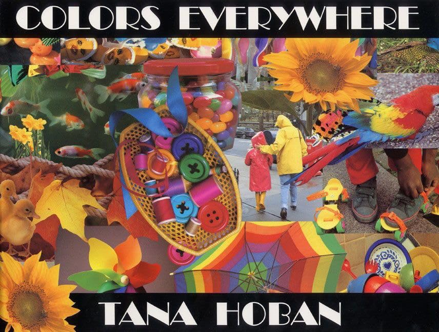 Colors Everywhere book cover