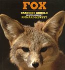 Cover of Fox