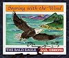 Soaring with the Wind: The Bald Eagle