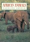 African Animals