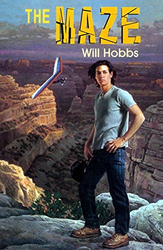 The Maze book cover