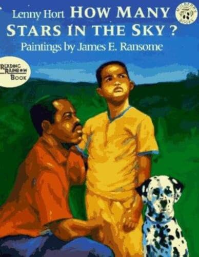 How Many Stars in the Sky? book cover