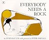 Everybody Needs a Rock