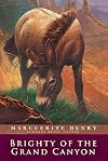 Brighty of the Grand Canyon