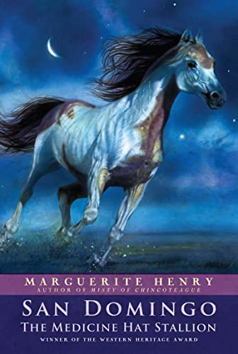 San Domingo book cover