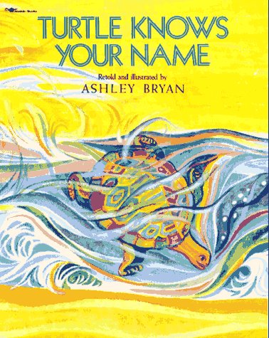 Turtle Knows Your Name book cover