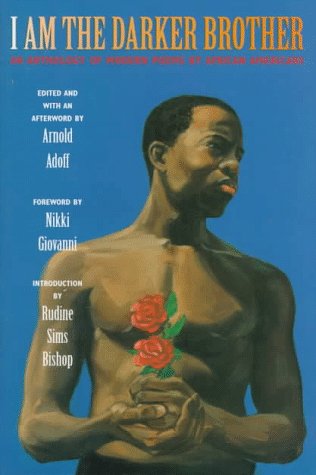 I Am the Darker Brother book cover